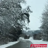 2019-01-12-Schneedruck-01.jpg