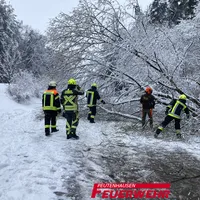 2022-04-02-Baum-auf-Strasse-01.jpg